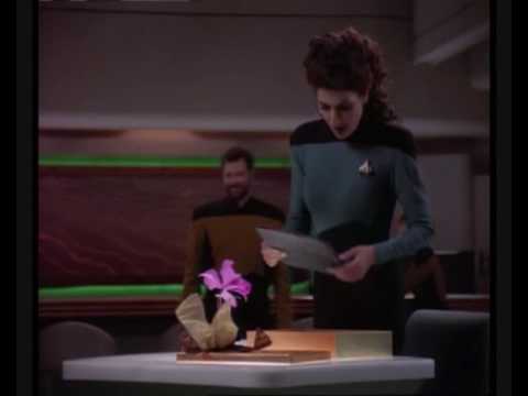 The Best of Deanna Troi - TNG Season 6