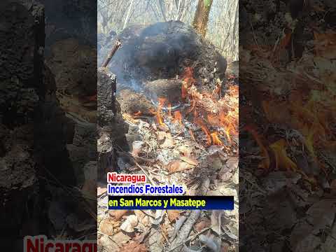 Nicaragua incendios forestales en Masatepe y san Marcos Carazo