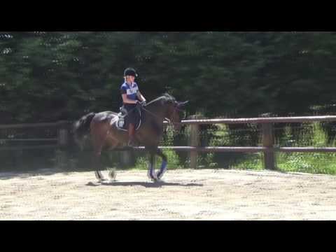 Balou du rouet x Calvaro 11 yo