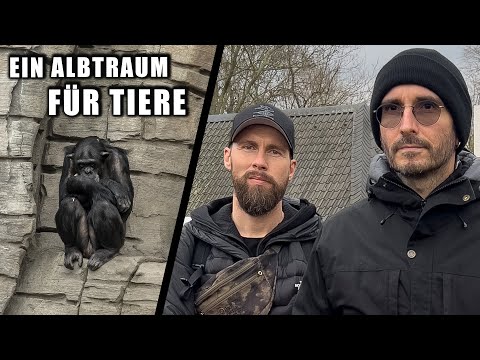 Das ist ein Albtraum für Tiere! - Talk mit Mark Benecke über Zoos | Robert Marc Lehmann