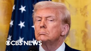 Why is Trump targeting the head of the agency that protects whistleblowers?