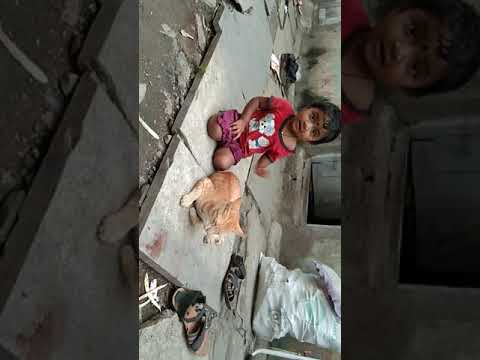 २८ मार्च, २०२१