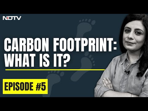 Carbon Footprint, Explained I And why you should consider reducing yours I The Climate Explainers