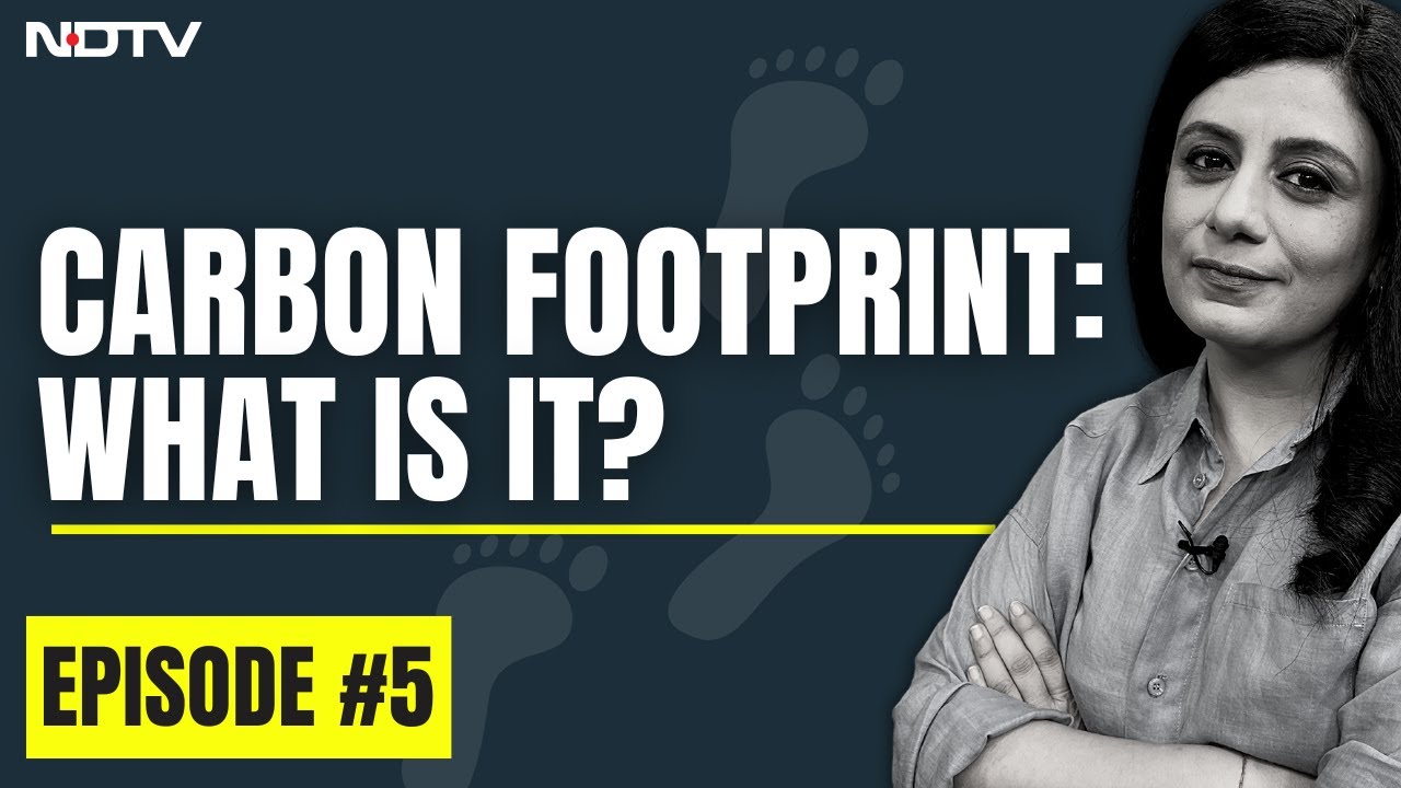 Carbon Footprint, Explained I And why you should consider reducing yours I The Climate Explainers