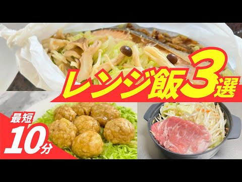 鶏の冬の餌は何ですか？季節を通して体型を維持するための 3 つのプロテイン レシピ  庭園