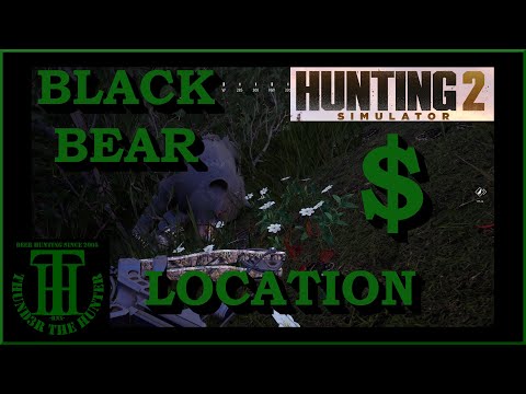 Quick & Easy Bear Cash - Hunting Simulator 2 [PC]