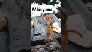 #Akinyuma by Bruce Melody