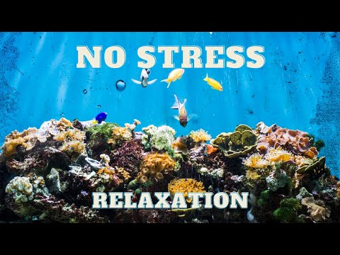 Antistress & Bien être - Video - Sous Marin Pour Relaxation - Dormir Et Bien Dormir
