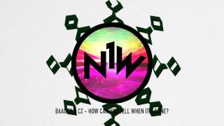 Baauer X CZ - How Can You Tell When It's Done?