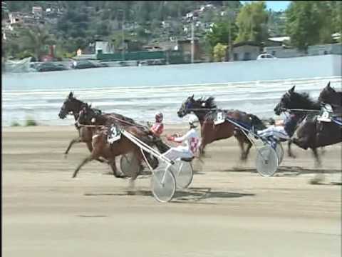 Trotto 28/05/2017 - 2ª corsa