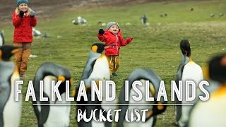 BABY LEARNS TO WALK WITH PENGUINS!!