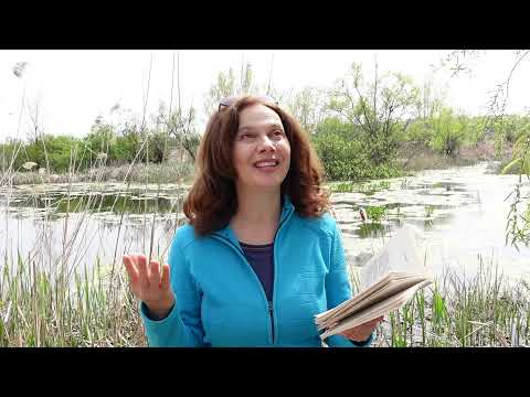 Se-ntoarce Galileanul!