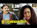 Oh Paravaigale Paravaigale ஓ பறவைகளே S P B Swarnalatha Love Sad H D Song