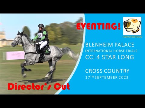 CCI 4* Long cross country - Director's Cut; Blenheim Palace International Horse Trials 2022