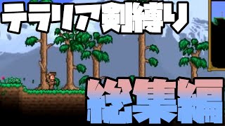 【テラリア剣縛り実況】総集・微調整編