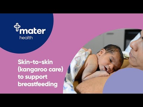Skin-to-skin (kangaroo care) to support breastfeeding | Parent Education  | Mater Mothers