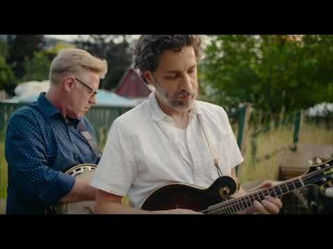 Foggy Hogtown Boys - The Seven Year Blues (Louvin Brothers) || NimbleFingers 2022