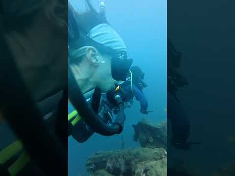 The Story of Million Dollar Point: Underwater Tale of Military Asset Waste!