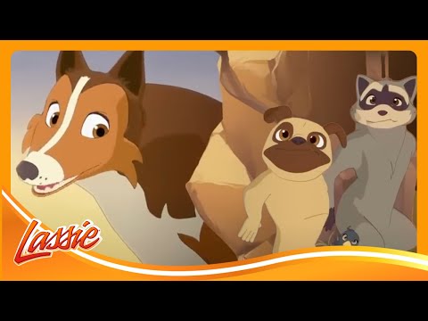 🐶 Epic Dog Treasure Hunt Adventure! 🗺️ | Lassie | Cartoon for Kids @VIEWEDkids