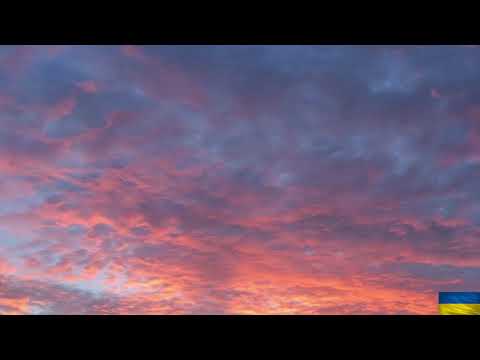 Tramwaje w Polsce - podstawowe informacje