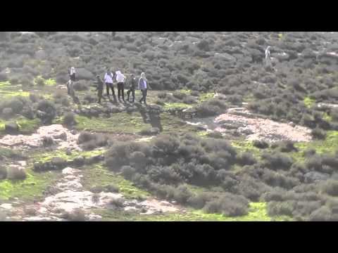 2014.02.08 Settlers from Mitzpe Eshtamoa attacked Palestinian shepherds and Israeli activist