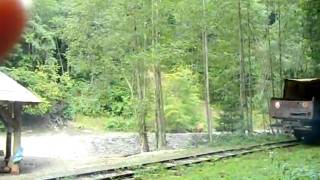 preview picture of video 'Trip on CFF Mocanita Steam Train in Viseu de Sus, Maramures Romania'
