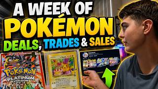 Adding to my Pokemon Binder Collection + Trades, Deals and Sales
