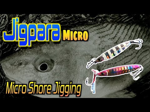 [Major Craft Jigpara Micro SLIM 7g] How to catch fish? [Micro Shore Jigging]