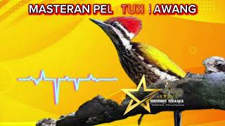 Download lagu MASTERAN PELATUK BAWANG 30 MENIT mp3 Download lagu MASTERAN PELATUK BAWANG 30 MENIT mp3