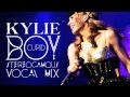 Kylie Minogue - Cupid Boy (Stereogamous Vocal ...
