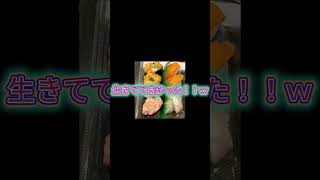 【すし】回転寿司 根室花まる ココノススキノ店行ってみた.. ＃北海道観光 ＃札幌すし ＃花まる #クラシック　#自律神経整える音楽 　＃北海道 ＃札幌  ＃ラーメン　#ススキノ