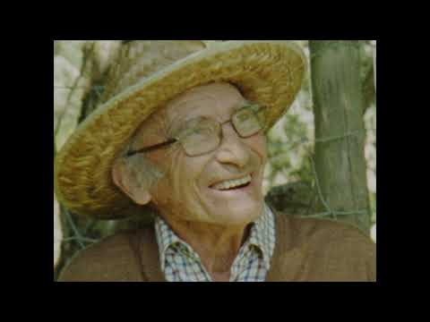 Forest Coal Pit - Official Trailer