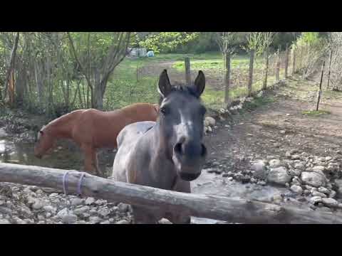 Faccio un video per il mio paese….BALSORANO🌲😃