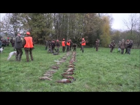 Spotkałem Myśliwych - odcinek 276  Polowanie w Czechach z Zakonem św.  Huberta
