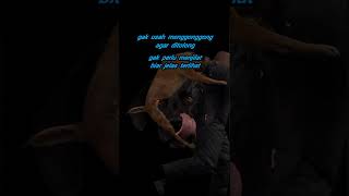 Download lagu Gak Harus Jadi Anjing #quotes #shorts #videoshorts mp3