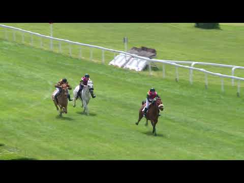 27. 5. 2018 - poníci - velcí