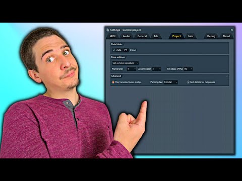 Project General Settings Explained | Project Settings in Depth (Settings - Current Project)