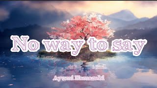 Ayumi Hamasaki - No way to say (Romaji/English)
