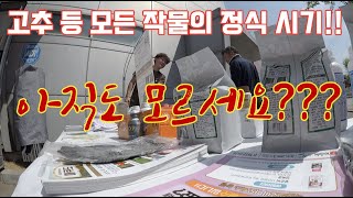 이제 고추 등등 모든 작물의 노지 정식 시기!!! 전문 농업인? 텃밭인? 아직 이것도 모르세요? 그래서 네바…