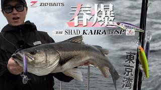 ZIPBAITS ジップベイツ