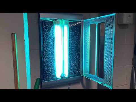 Flies See the Light in Mantoloking, NJ