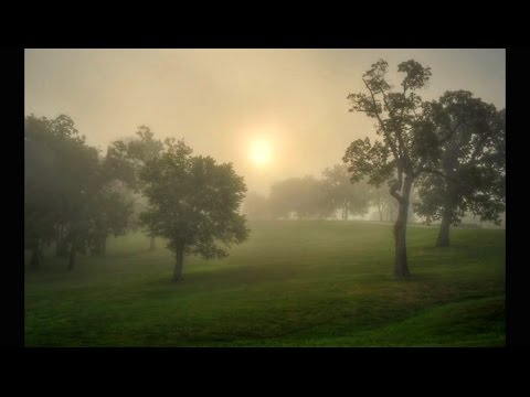 Tomorrow ( André Gagnon )