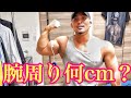 腕トレ前後の腕周りは何㎝?