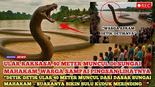 Download lagu Mengerikan‼️ Ular Raksasa 40 Meter Penghuni Sungai Mahakam Tiba-Tiba Muncul Bikin Geger Warga... mp3
