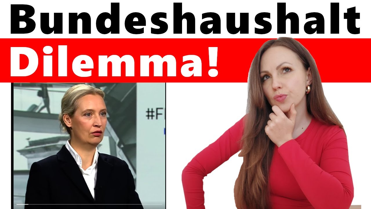 Alice Weidel: "Das muss man sich mal vorstellen!"