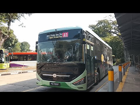 B103 Bus Map Exposed Errors That Could Cost You Time Money