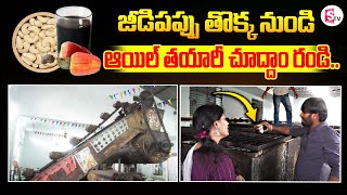 Oil Extraction From Cashew Nut Shells | Cashew Nut Shell Oil Making Process | SumanTV
