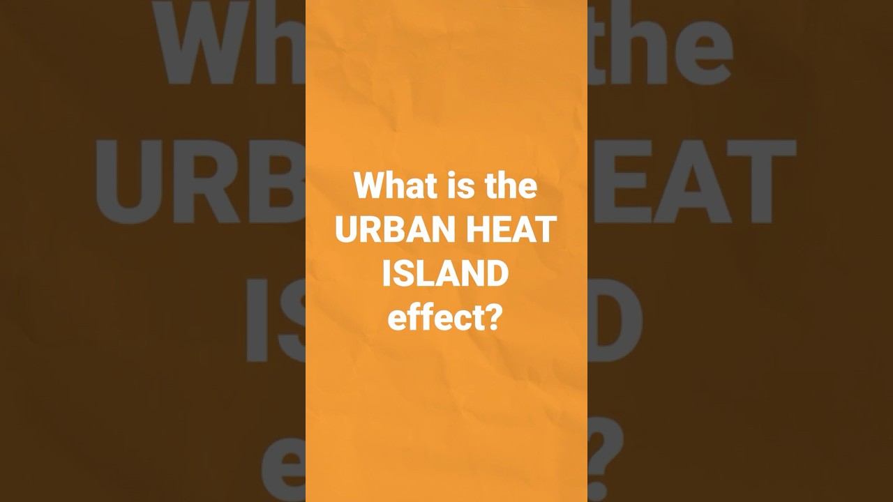 Why are cities hotter, and what can we do about it?