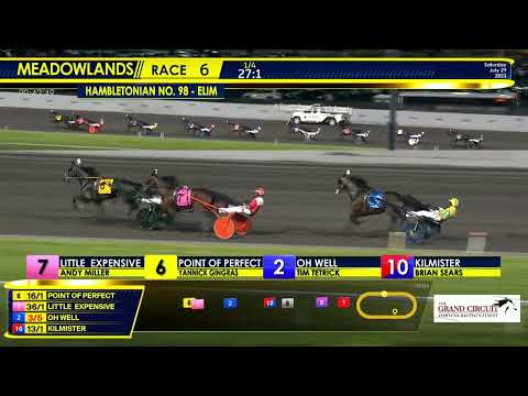 July 29, 2023 - Hambletonian Elimination - Race 6