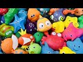 Learn Sea Animal Names And Facts Sea Animals For Kids Sea Creatures For Kids Sea Animal Toys